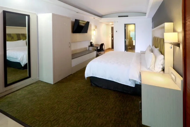 Suite, King Bed, Bath and Shower، Holiday Inn Queretaro Zona Diamante 4/6