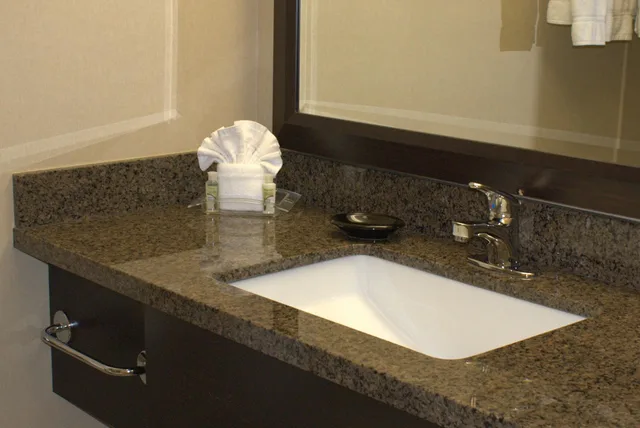 غرفة ديلوكس، Grand Royal Hotel O Hare Chicago 2/3