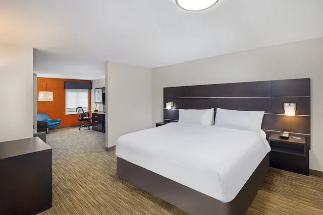 Suite, King Bed, Extra Floor Space, Sofa، Holiday Inn Express And Suites Locust Grove 3/7