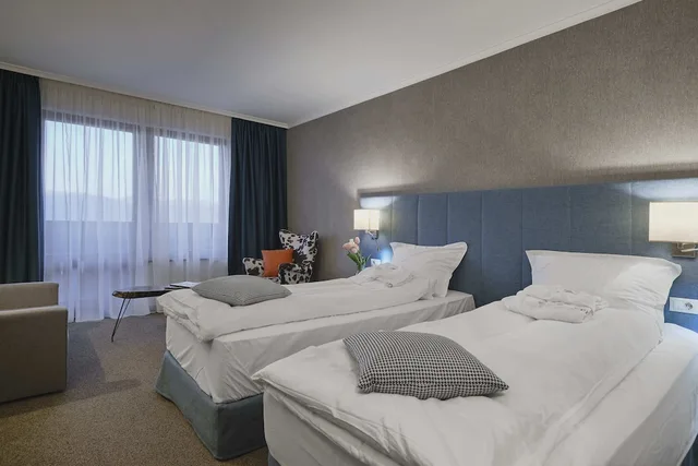 غرفة قياسية بسريرين منفصلين، SPA Resort St. Ivan Rilski 2/9