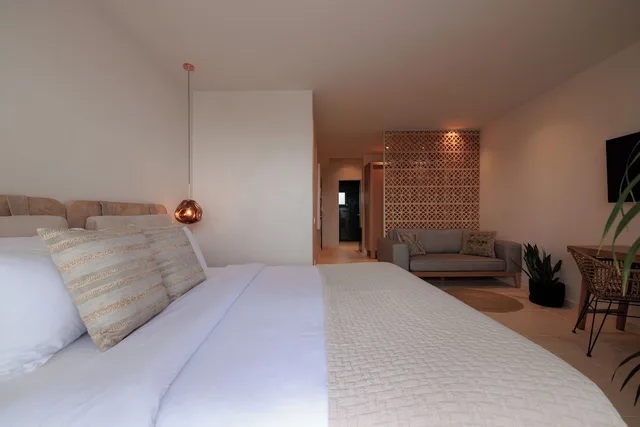 غرفة سوبيريور بسرير كوين بإطلالة على البحر بمسبح خاص، ASTY Mykonos Hotel and Spa 2/2