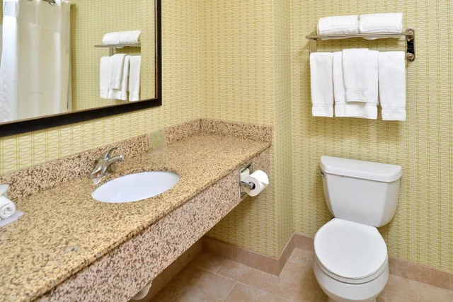 Standard, 2 Queen Beds, Bathtub, Accessible, Holiday Inn Express Hotel Suites Charlotte 6/6