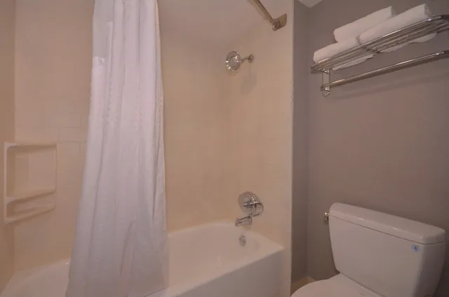 Suite, 2 King Beds, Sofa, Holiday Inn Express Hotel And Suites Fayetteville Univ of Arkansas Area 1/2