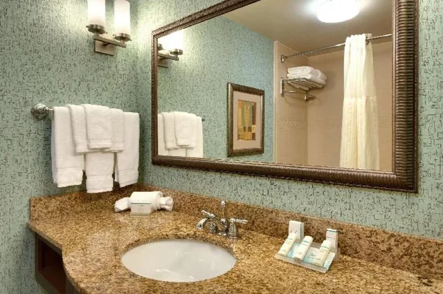 جناح جونيور بسرير كينج مع أريكة لذوي الإعاقة، Hilton Garden Inn Clarksville 3/3