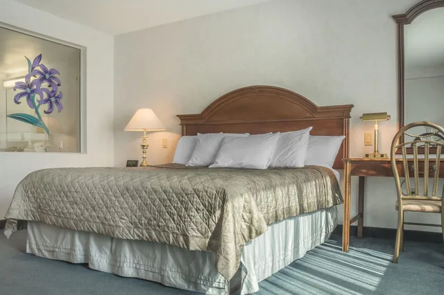 غرفة بسرير كينج بجاكوزي، Rodeway Inn Fallsview Niagara Falls 2/5