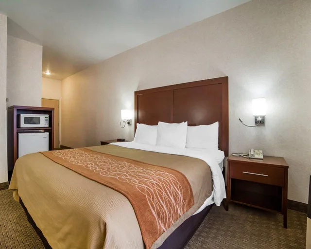 غرفة بسرير كينج لذوي الإعاقة، Comfort Inn Elko 5/9