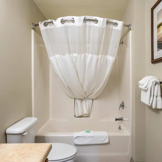 استوديو ديلوكس بسرير كينج مع أريكة، Hilton Vacation Club The Falls Village Branson 2/2