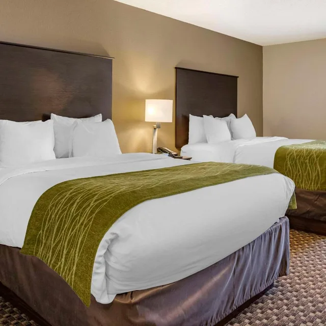 غرفة بسريرين كوين بحوض استحمام لذوي الإعاقة، Comfort Inn Wings Stadium 2/6
