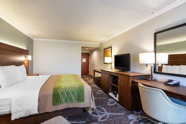 غرفة بسرير كينج بحوض استحمام لذوي الإعاقة، Comfort Inn Anaheim Resort 5/10