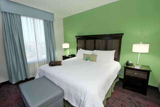 جناح استوديو بسرير كينج مع أريكة، Hampton Inn And Suites Winnie 1/3