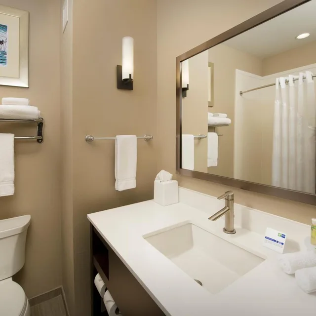 غرفة بسريرين كوين لذوي الإعاقة، Holiday Inn Express And Suites Waco South 3/3