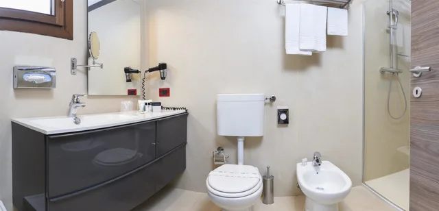Comfort, Double Bed, Annex, Best Western Plus Hotel Modena Resort 9/10