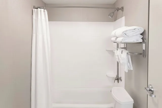 جناح بسرير كينج مع سرير سحّاب إضافي، SpringHill Suites Detroit Auburn Hills 6/9
