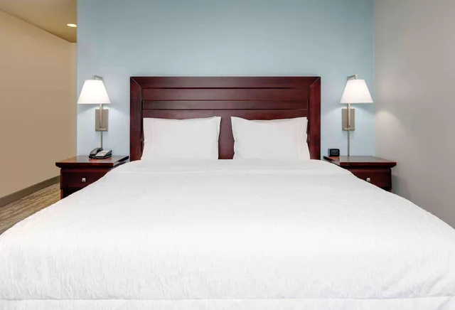 غرفة بسرير كينج لذوي الإعاقة، Hampton Inn Suites Dallas Arlington South 2/6