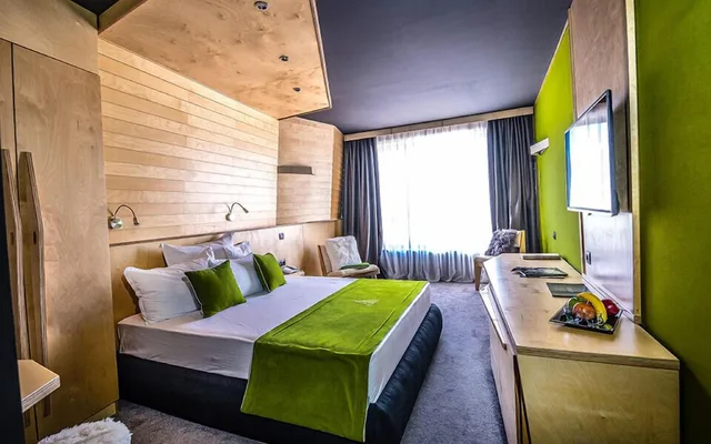 Basic, Double Bed, No Balcony, Arte Spa & Park Hotel 1/1