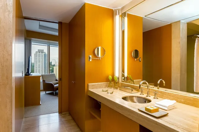Grand, Suite, King Bed, Bridge View، Grand Hyatt Sao Paulo 8/10