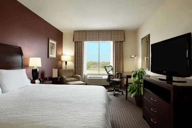 Evolution, Junior Suite, 2 Queen Beds، Hilton Garden Inn New Braunfels 6/10