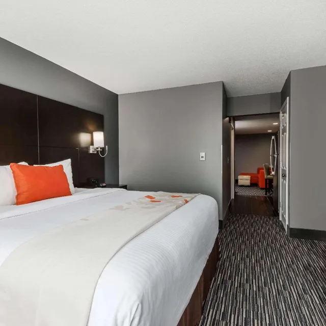 جناح بسرير كينج بغرفة نوم واحدة، Hawthorn Suites By Wyndham Columbus West Hotel 1/7