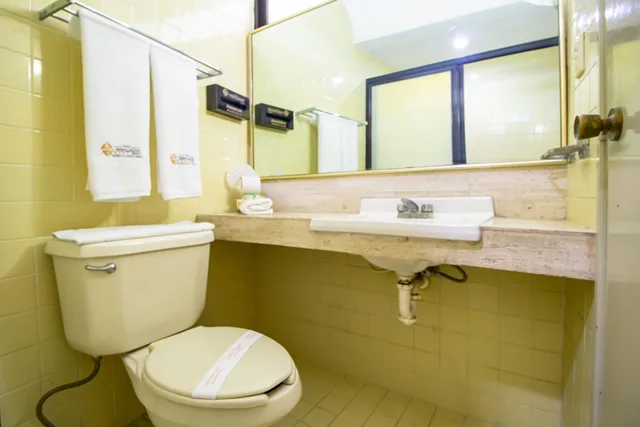 Standard, Hotel Ambassador Merida 4/4