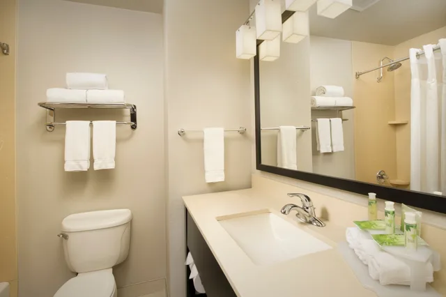 غرفة قياسية، Holiday Inn Express Hotel And Suites Dfw Grapevine 1/1