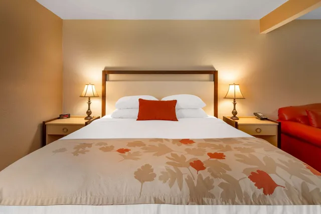 غرفة بسرير كينج، HAWTHORN SUITES BY WYNDHAM ALLENTOWN-FOGELSVILLE 2/5