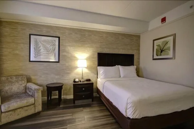 Standard, Queen Bed, Accessible, Holiday Inn Suites Windsor Ambassador Bridge 1/6