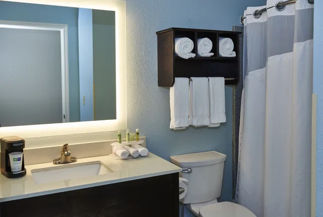 غرفة قياسية بسريرين كوين لذوي الإعاقة، Holiday Inn Express Suites Birmingham South Pelham 5/5