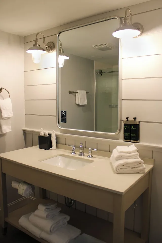غرفة قياسية بسرير كينج، Chesapeake Beach Resort And Spa 4/4