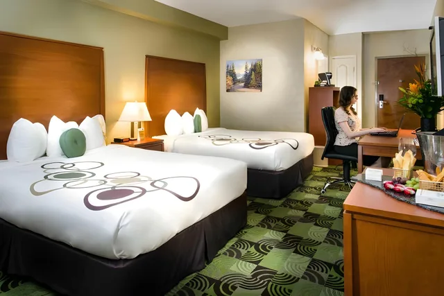 Room, Double Bed, Deerfoot Inn Casino 1/1