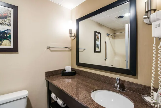 Upgrade, King Bed، Clarion Pointe Jamestown - Falconer 2/2