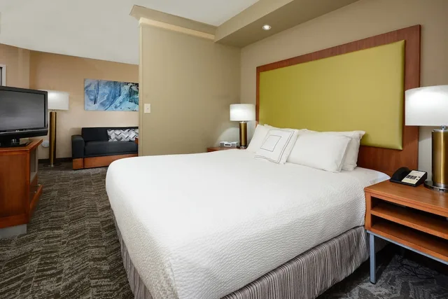 استوديو بسرير كينج مع أريكة، Springhill Suites By Marriott Lynchburg Airport/University Area 3/8
