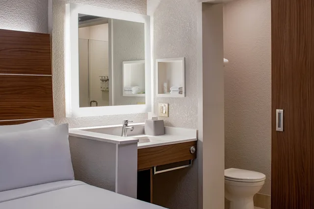 غرفة قياسية بسرير كينج، Holiday Inn Express New Orleans Dwtn - Fr Qtr Area 6/9