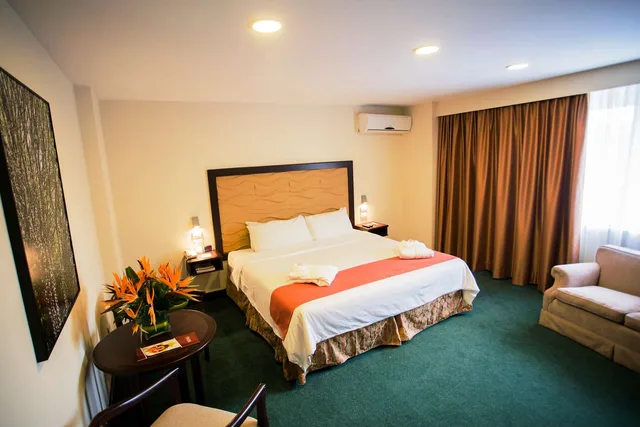 جناح بسرير كينج، Best Western Hotel Plus Terraza 2/3