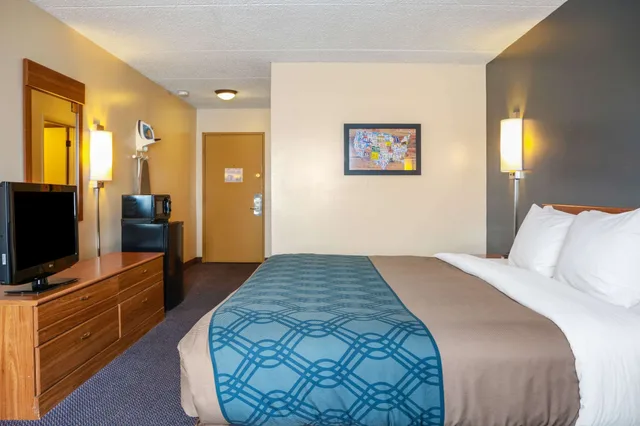 Standard, King Bed, Pet Friendly, Ground Floor, Econo Lodge Darien Lakes 1/6