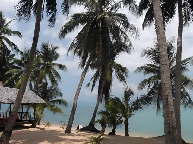 بنغل بسريرين كينج، Palm Point Village 2/2