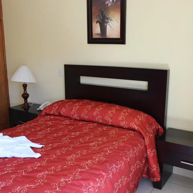 غرفة بسرير مزدوج، HOTEL CONQUISTADORES 2/8