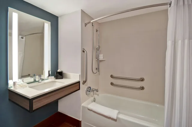 غرفة بسرير كينج بحوض استحمام لذوي الإعاقة، Hilton Garden Inn Houston/Galleria Area 2/2