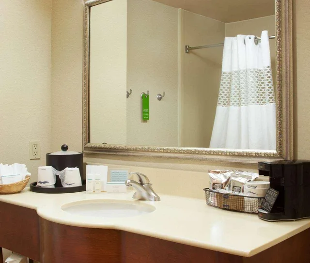استوديو بسريرين كوين، Hampton Inn And Suites Brownsville 2/2