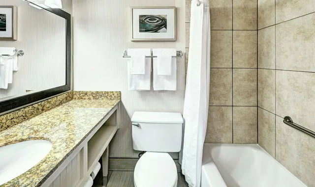 Executive, Suite, King Bed, Sofa, DoubleTree by Hilton Milwaukee Downtown 2/3