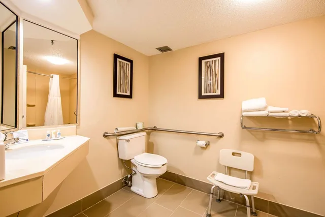غرفة بسرير كوين لذوي الإعاقة، Comfort Inn Greenville - Haywood Mall 7/8