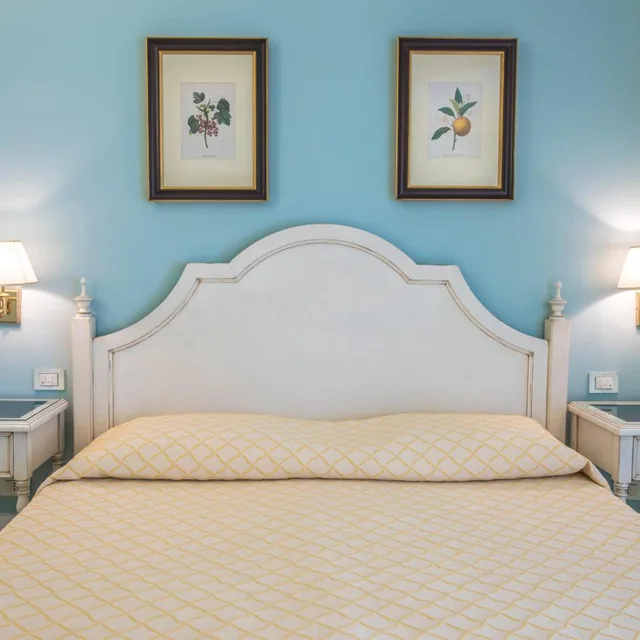 غرفة سوبيريور بسرير مزدوج أو سريرين منفصلين، Hotel Villa Daphne 3/7