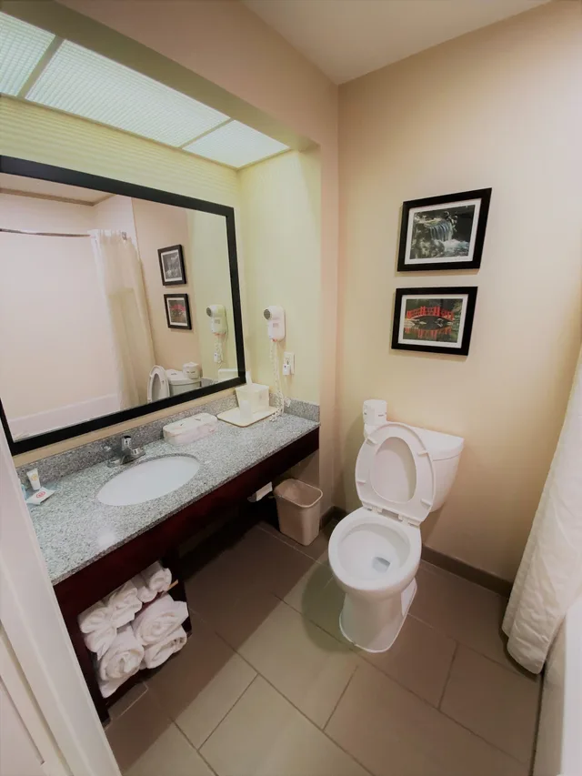 غرفة قياسية بسرير كينج، Comfort Inn Birmingham - Irondale 6/7