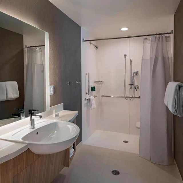 جناح بسرير كينج مع سرير سحّاب إضافي مع أريكة بحوض استحمام لذوي الإعاقة، SpringHill Suites by Marriott Denver West Golden 3/5