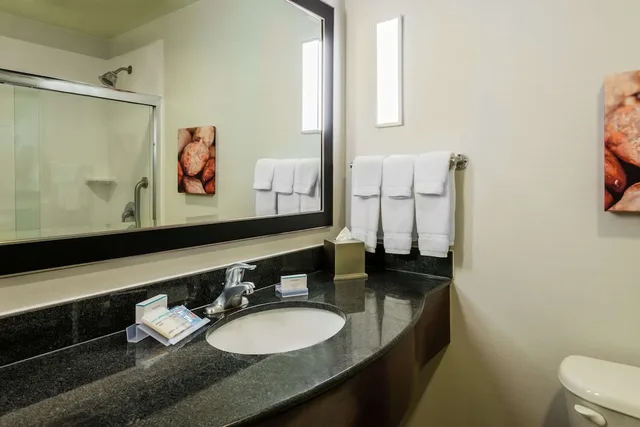 جناح بسرير كينج مع أريكة، Hilton Garden Inn West Palm Beach Airport 2/6