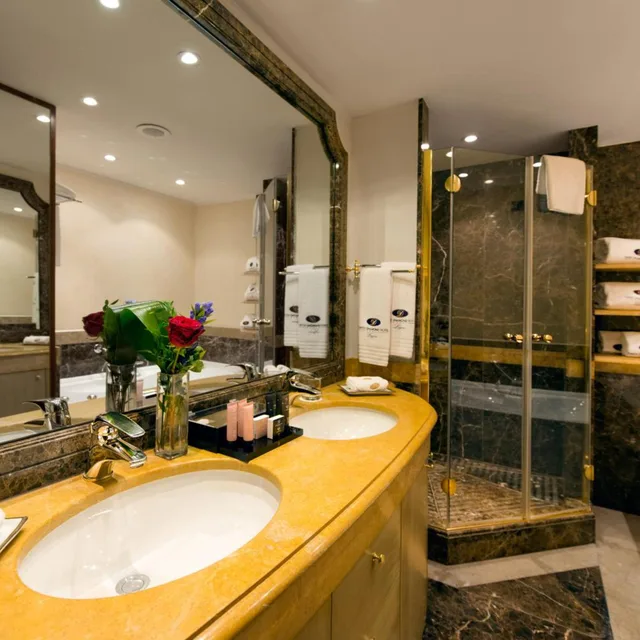 Presidential, Suite, Lake View, Swiss Diamond Hotel Lugano 8/8