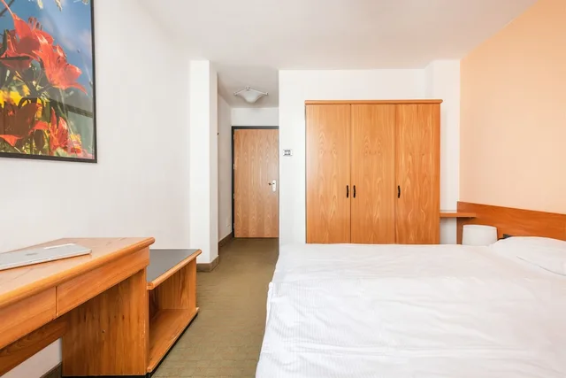Economy, Double Bed, Alpina Hotel 1/7