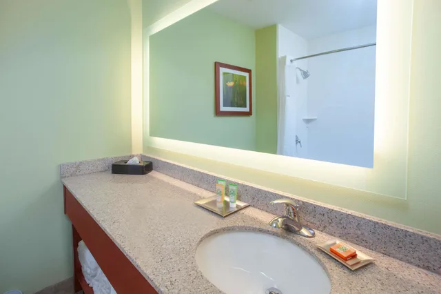 جناح رئاسي بسرير كينج بغرفة نوم واحدة، Wyndham Garden Fort Wayne 3/4