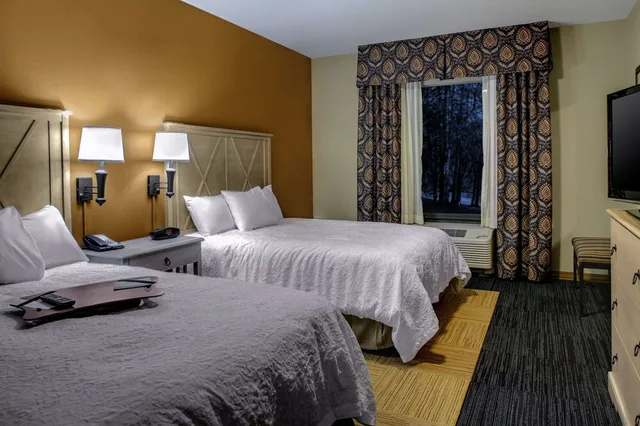 جناح بسريرين كوين بمطبخ صغير، Hampton Inn Suites Dodge City 3/5