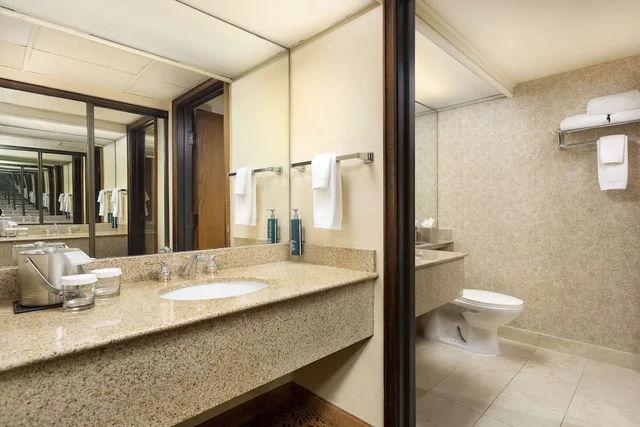 Tower, Metro, King Bed, Balcony، Doubletree Hotel San Jose 5/9