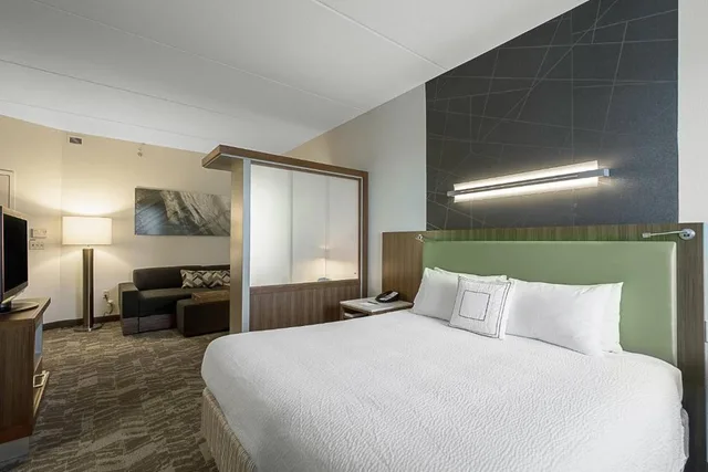 غرفة بسرير كينج مع سرير سحّاب إضافي مع أريكة، SpringHill Suites Tampa North/I-75 Tampa Palms 1/4